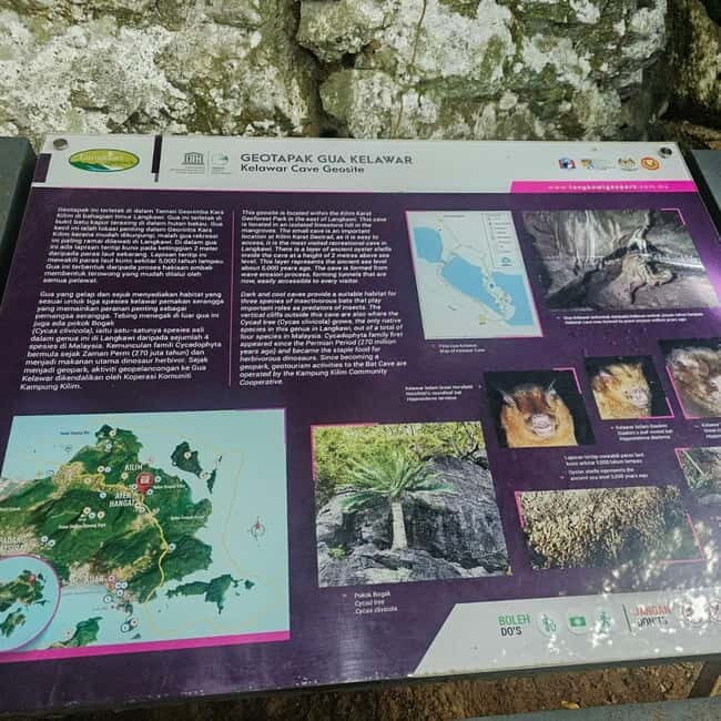 Langkawi: 3-Hour Shared Kilim Geoforest Mangrove Boat Tour - Practical Details and What You Should Know