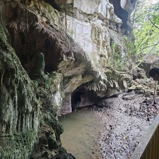 Langkawi: 3-Hour Shared Kilim Geoforest Mangrove Boat Tour - Authentic Encounters and Insights