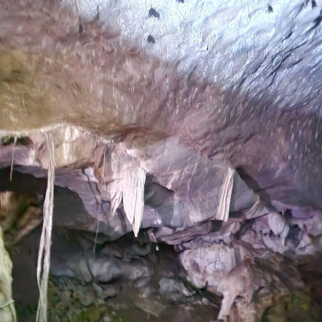 Langkawi: 3-Hour Shared Kilim Geoforest Mangrove Boat Tour - Practical Tips for Booking and Enjoying