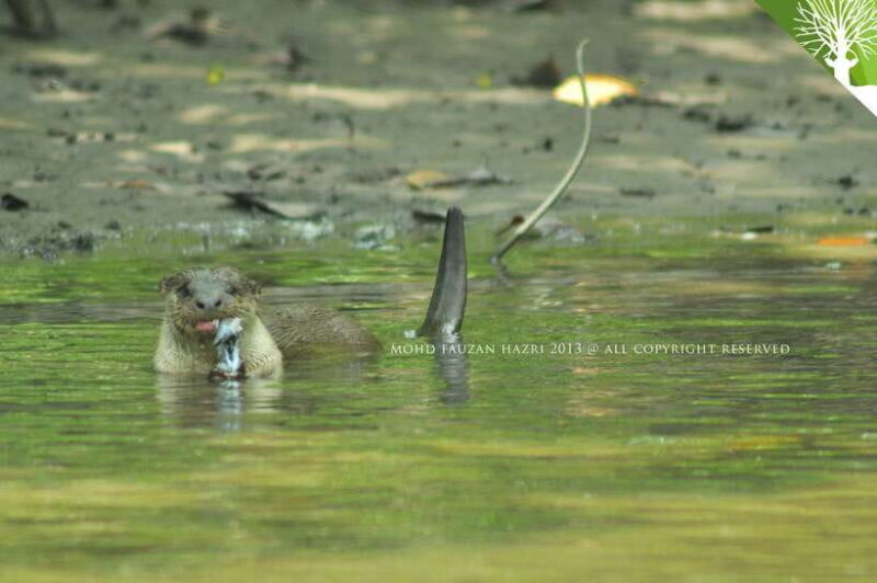 Langkawi: 6-Hour Kilim Mangrove Boat Tour w/ Lunch & Pickup - The Lunch: A Tasty Break on the Water