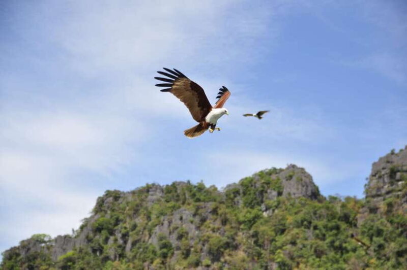 Langkawi: 6-Hour Private Island Highlights Tour - Good To Know