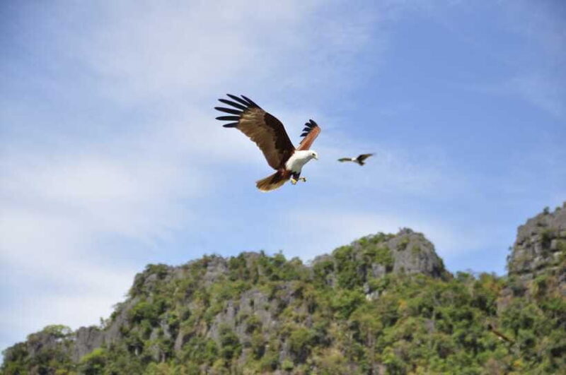 Langkawi: 6-Hour Private Island Highlights Tour - Who Should Consider This Tour?