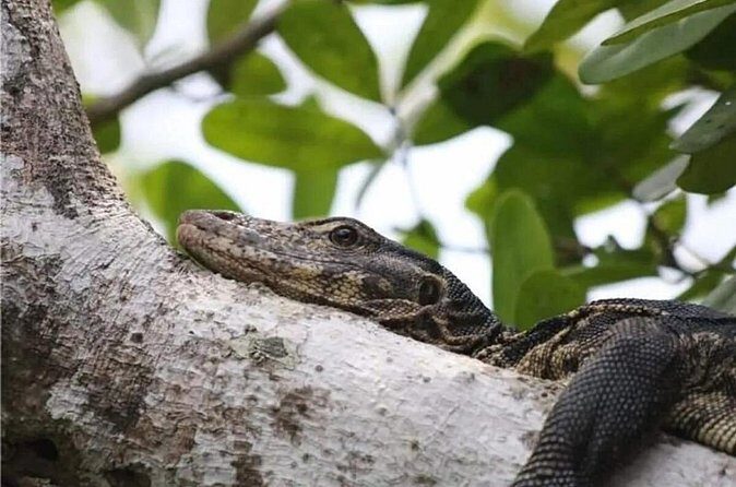 Langkawi Beyond the Brochure: One-Day Intensive Adventure - FAQ