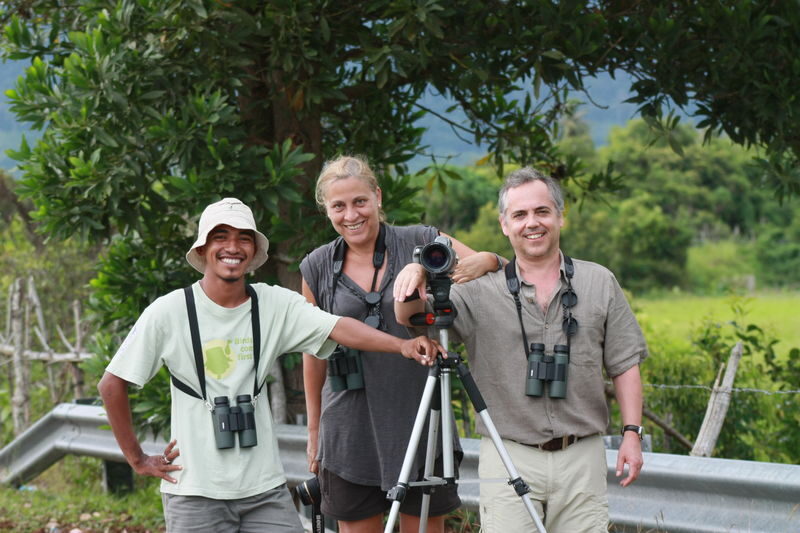 Langkawi Bird Watching Tour with Hotel Transfer - Why Langkawi rewards a bird-watching outing