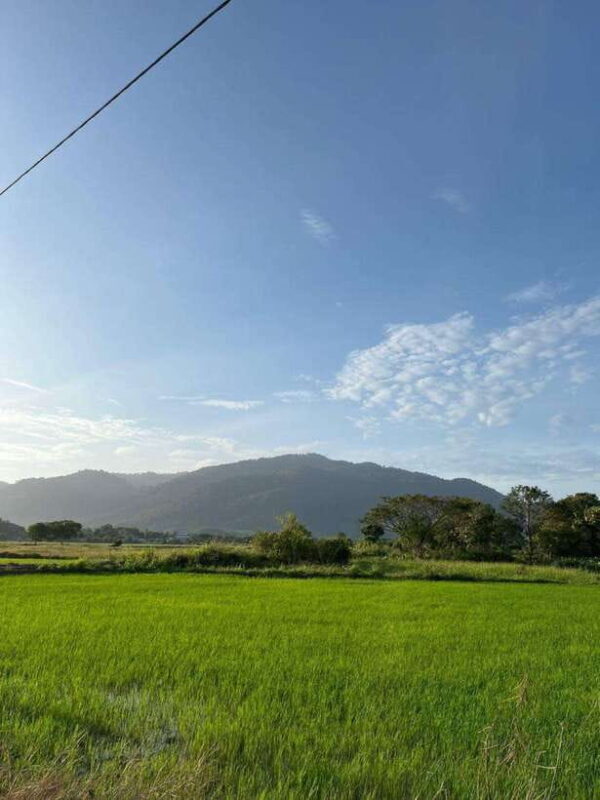 Langkawi: Countryside Bike Tour, Waterfall Swim & Dessert - Good To Know