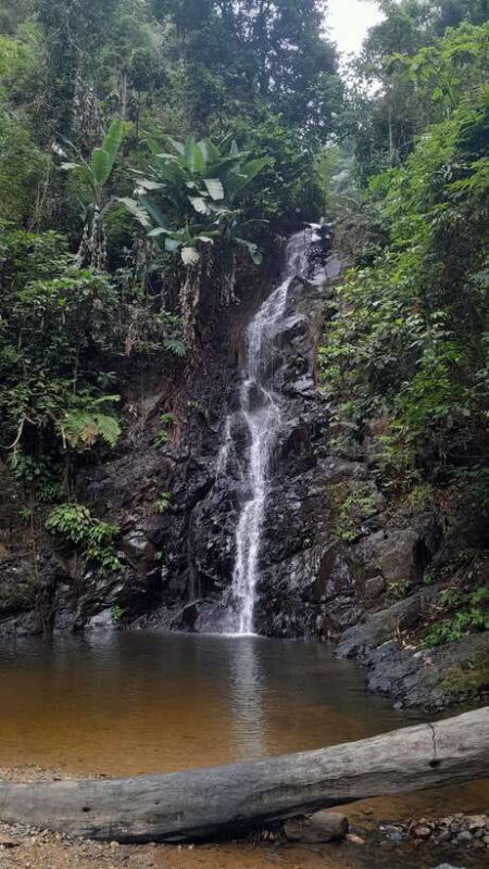 Langkawi: Countryside Bike Tour, Waterfall Swim & Dessert - The Itinerary: Step-by-Step