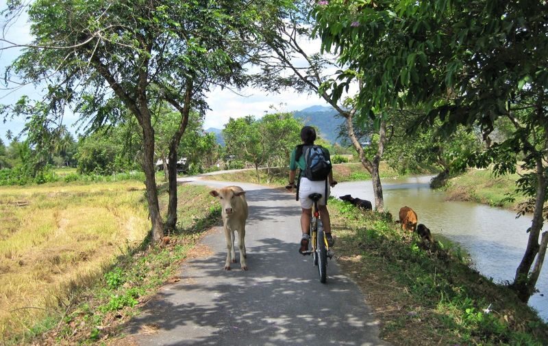 Langkawi Countryside Half-Day Cycling Adventure - What to Know Before You Ride