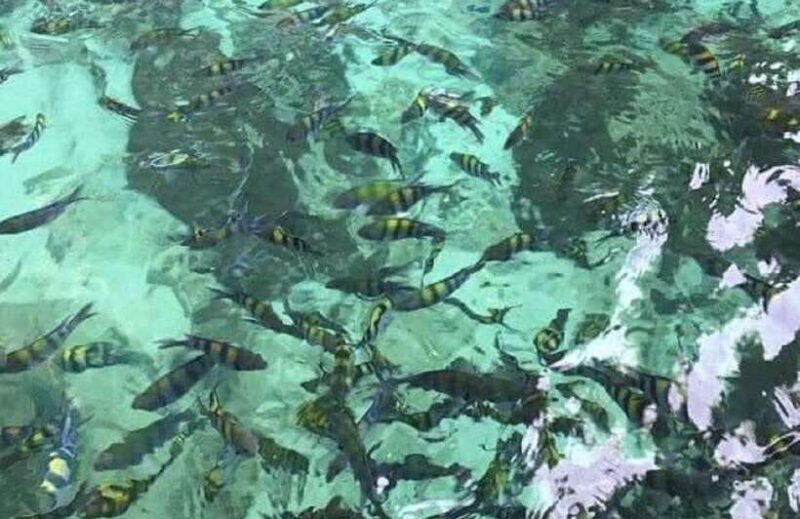 Langkawi: Dangli Island or Pulau Intan Kecil Snorkeling Tour - FAQ