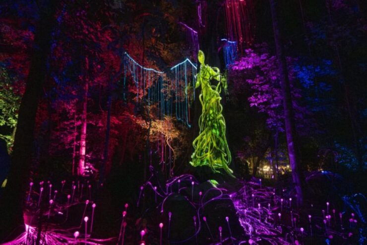Langkawi: Dream Forest Langkawi Admission Ticket - Ticket Details and Booking Information