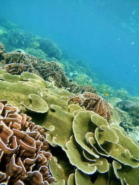 Langkawi: Floating Restaurant & Snorkeling Trip - Final Thoughts