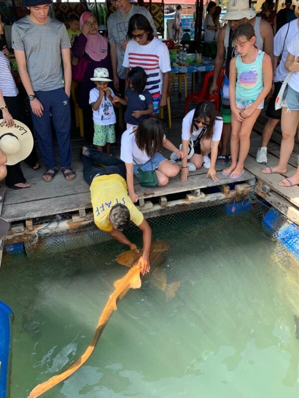 Langkawi Geopark Day Tour - A boat trip through Langkawi’s mangroves