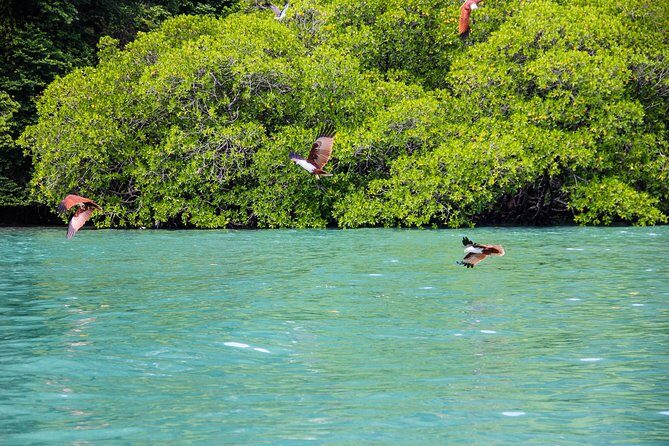 Langkawi Half Day Island Hoping Tour- Sharing basis - FAQs