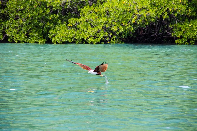 Langkawi Half Day Island Hoping Tour- Sharing Basis - Good To Know