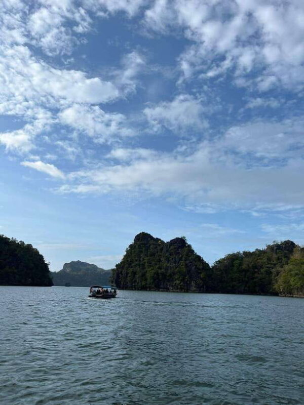 Langkawi: Half-Day Private Kilim River Mangrove Boat Tour - Why This Tour Is Worth Considering