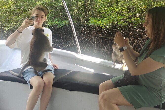 Langkawi Highlights Day Tour - ATV, Mangrove Cruise & Cable Car - Who’s This Tour Best For?  