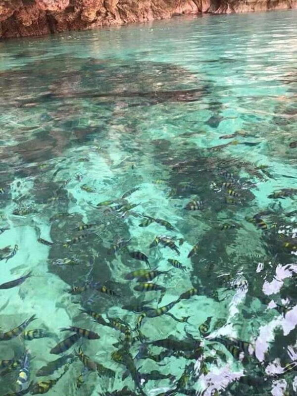 Langkawi Island: Hopping 5 in 1 Grand Tour - Good To Know