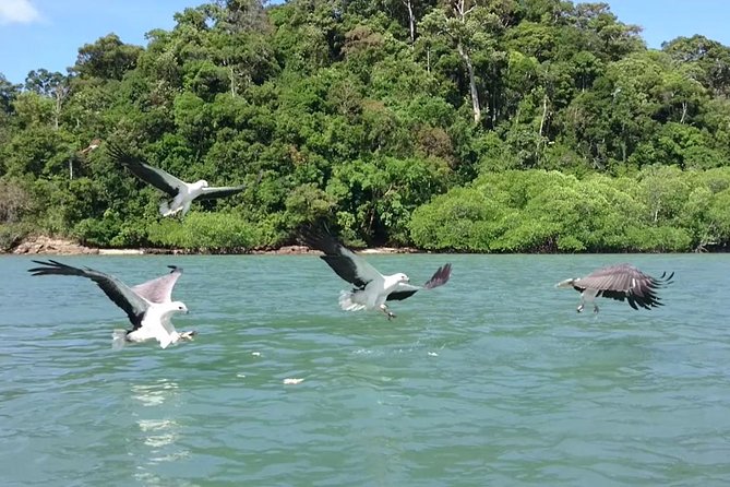 Langkawi Island Hopping Boat Tour With Return Transfer - Key Highlights