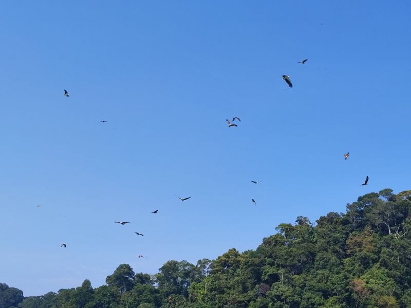 Langkawi Island Hopping Half-Day Cruise Experience - Is $45.45 good value?