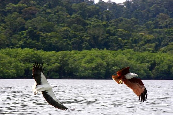 Langkawi Island Hopping Private Boat Tour With Transfer - Meeting and Pickup Options