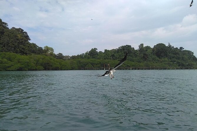 Langkawi Island Hopping Private Boat Tour With Transfer - Review and Feedback