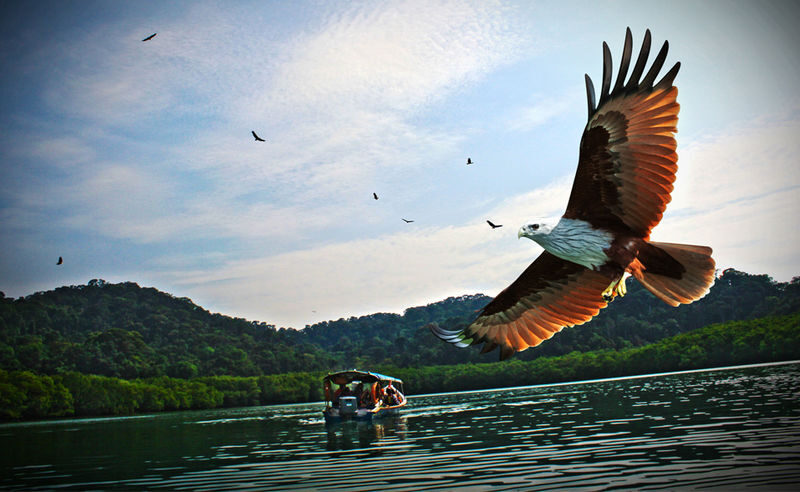 Langkawi Island Hopping Shared Speedboat Tour - The short version: three stops, one busy half-day