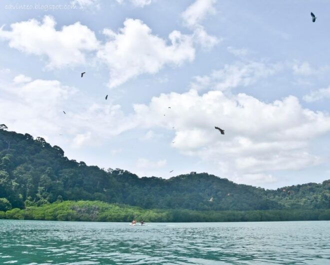 Langkawi: Island Hopping Tour - Full Description of the Island Hopping Tour