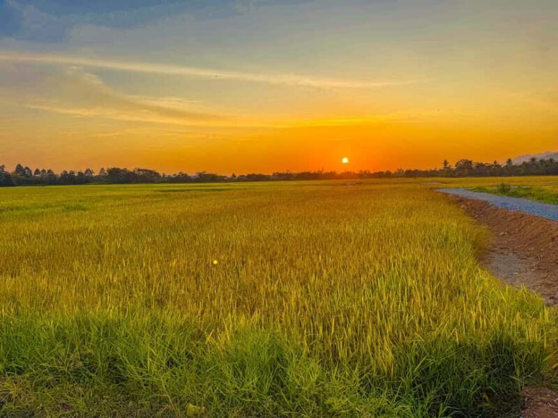 Langkawi Jungle and Waterfall Adventure (Golden Hour) - Good To Know