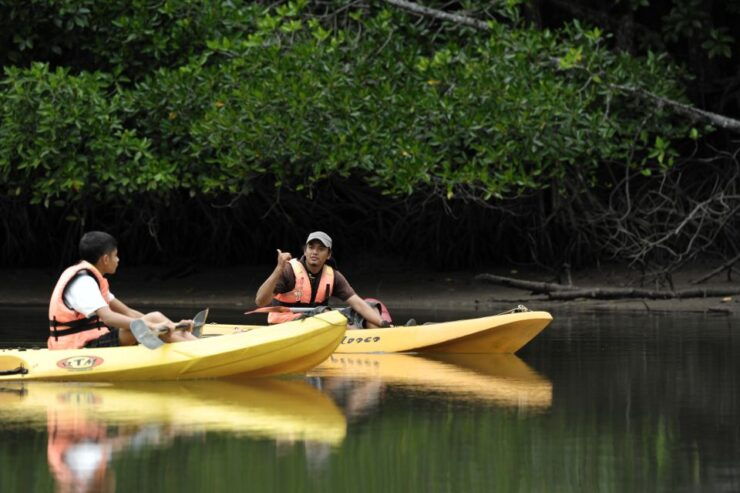 Langkawi Kayak and Swim - Activity Details