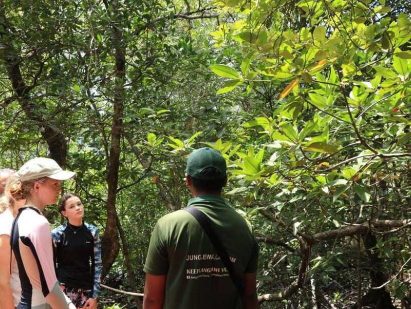 Langkawi: Kayaking Adventure and Swimming - Frequently Asked Questions