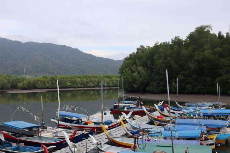 Langkawi: Kayaking Adventure and Swimming - What to Expect from the Langkawi Kayaking Tour