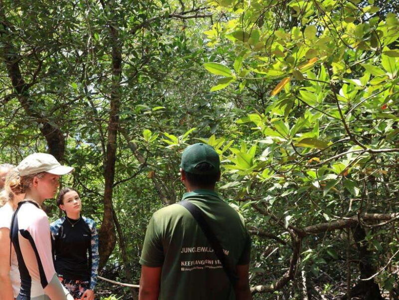 Langkawi: Kayaking Adventure and Swimming - Whats Included and Whats Not