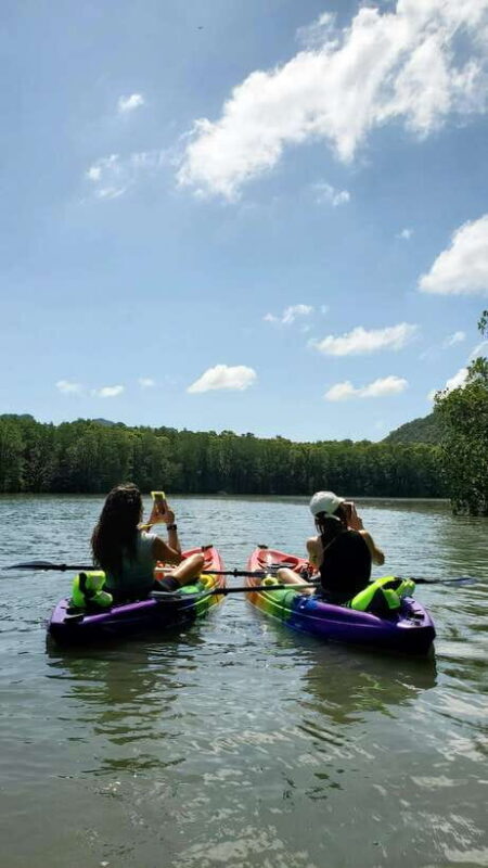 Langkawi : Kilim Geoforest Mangrove Kayak Tour with Lunch - Discovering the Kilim Geoforest by Kayak