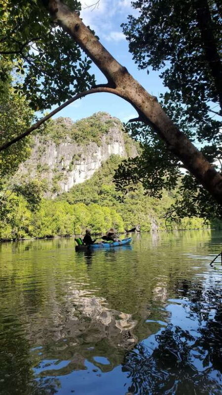 Langkawi : Kilim Geoforest Mangrove Kayak Tour with Lunch - How the Experience Feels: The Real Trip Vibe