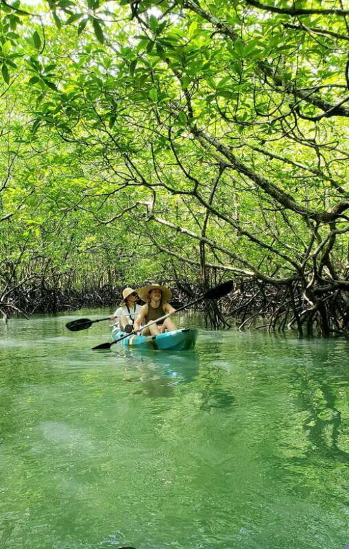 Langkawi : Kilim Geoforest Mangrove Kayak Tour with Lunch - Who Will Love This Tour?