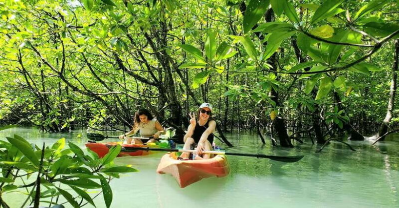Langkawi : Kilim Geoforest Mangrove Kayak Tour with Lunch - FAQ