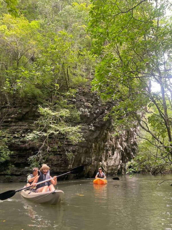 Langkawi: Kilim Karst Mangrove Kayak Adventure - Who Will Love This Tour?