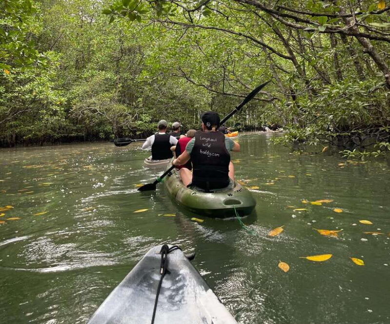 Langkawi: Kilim Karst Mangrove Kayak Adventure - FAQ