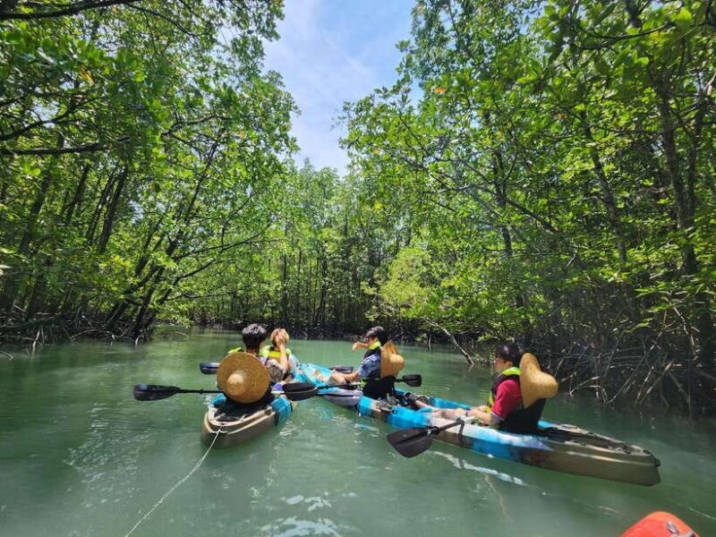 Langkawi : Kilim Mangrove Boat & Fun Kayak Tour with Lunch - A Deep Dive into the Langkawi Mangrove Experience