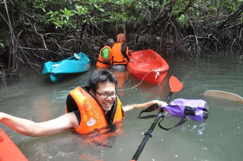 Langkawi: Kilim River Mangrove Safari Kayaking Tour - Why Choose This Tour?