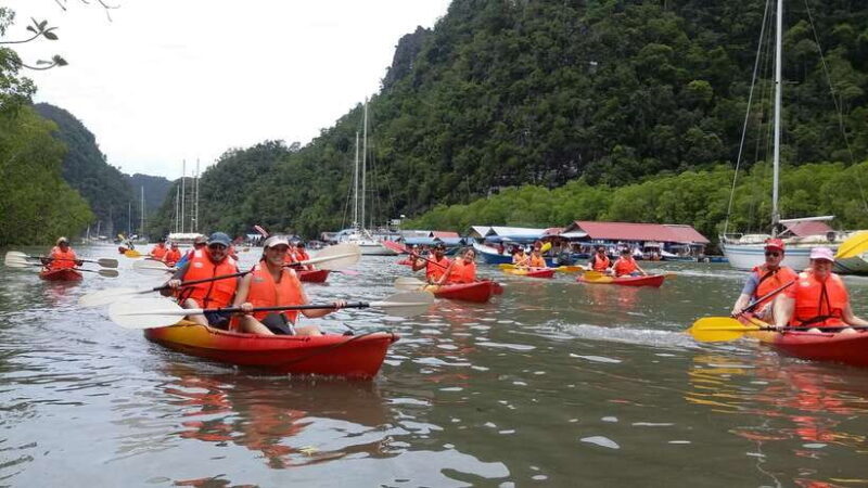 Langkawi: Kilim River Mangrove Safari Kayaking Tour - Who is This Tour Best For?