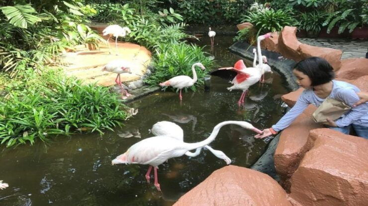 Langkawi: Langkawi Wildlife Park Entry Ticket - Experience at Langkawi Wildlife Park