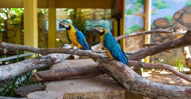 Langkawi: Langkawi Wildlife Park Entry Ticket - Full Description of Langkawi Wildlife Park