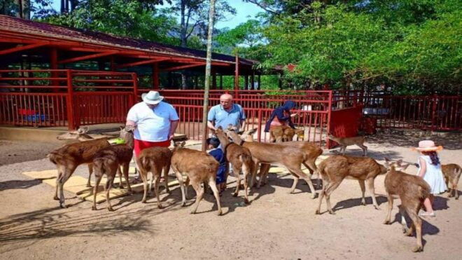 Langkawi: Langkawi Wildlife Park Entry Ticket - Common Questions