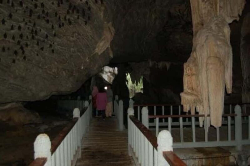 Langkawi: Mangrove 2Hour Private with Lunch - Good To Know