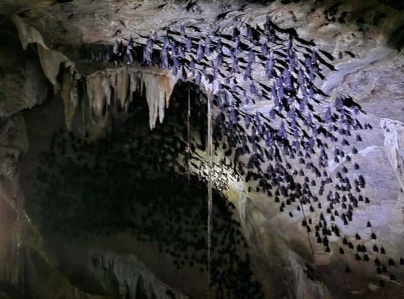 Langkawi: Mangrove 2Hour Private with Lunch - The Sum Up