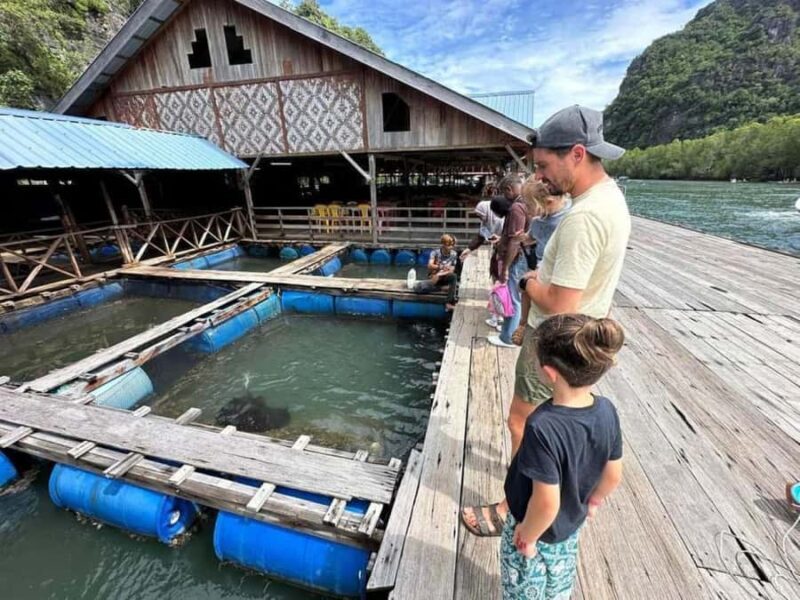 Langkawi: Mangrove 2Hour Private with Lunch - Authentic Insights from Traveler Reviews