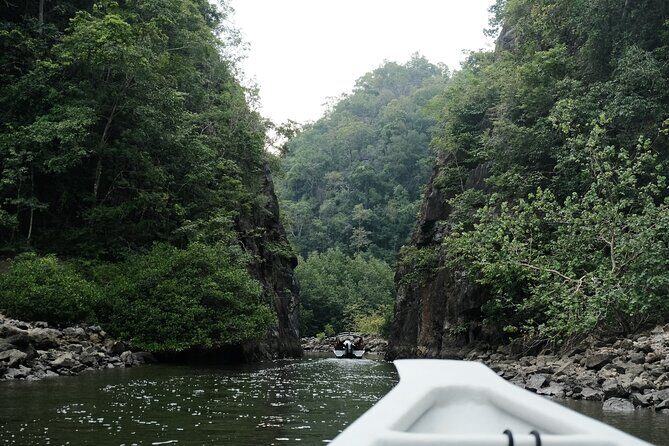 Langkawi Mangrove and Bat Cave Tour - The Itinerary Breakdown: What to Expect