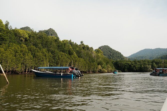 Langkawi Mangrove and Bat Cave Tour - The Sum Up: Is It Worth It?
