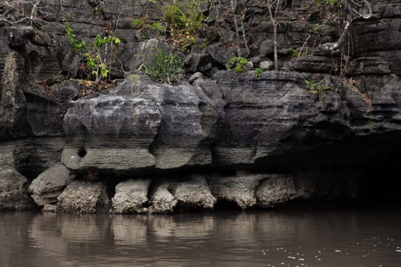 Langkawi Mangrove Boat River Cruise and Private Beach Tour - Who Should Consider This Tour?