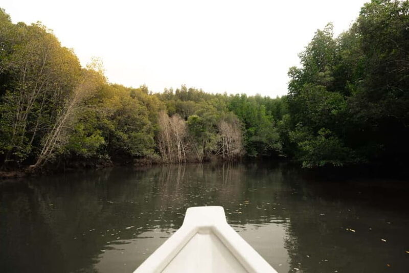 Langkawi Mangrove Boat River Cruise and Private Beach Tour - Good To Know